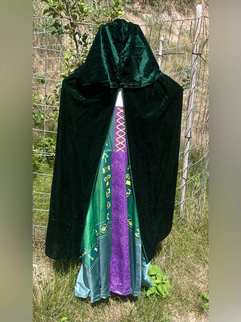 Hocus Pocus Winifred Sanderson Costume